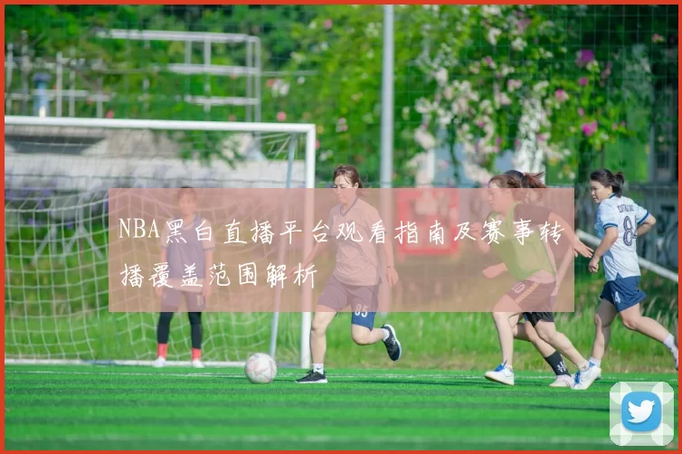 NBA黑白直播平台观看指南及赛事转播覆盖范围解析
