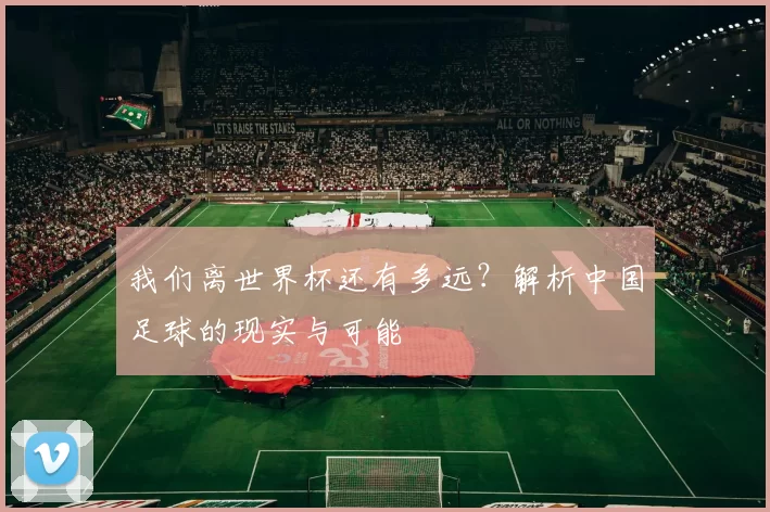 我们离世界杯还有多远？解析中国足球的现实与可能