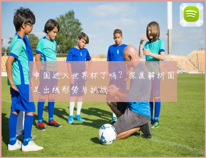 中国进入世界杯了吗？深度解析国足出线形势与挑战