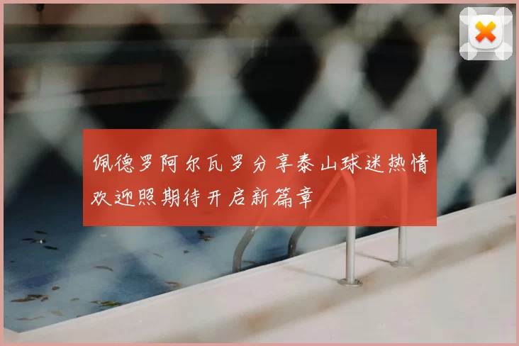 佩德罗阿尔瓦罗分享泰山球迷热情欢迎照期待开启新篇章