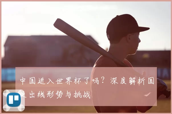 中国进入世界杯了吗?深度解析国足出线形势与挑战