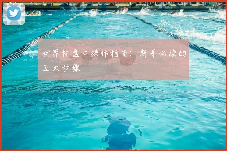 世界杯盘口操作指南:新手必读的五大步骤