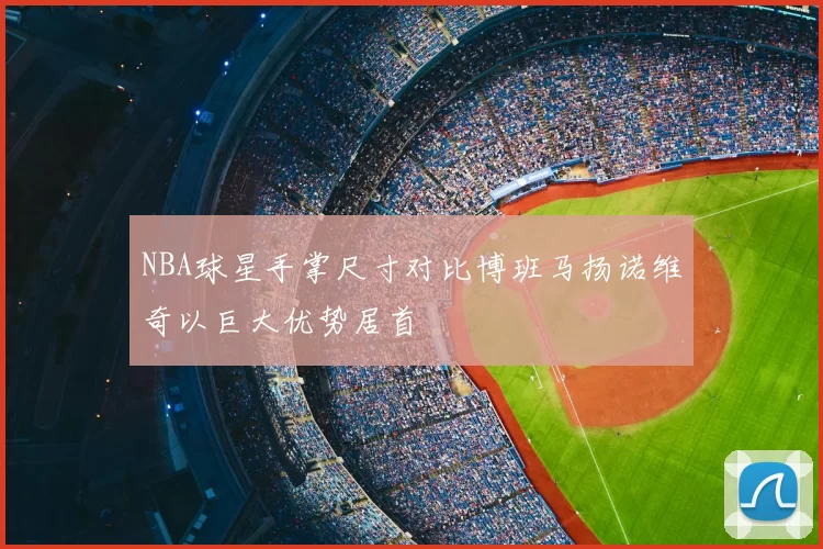 NBA球星手掌尺寸对比博班马扬诺维奇以巨大优势居首