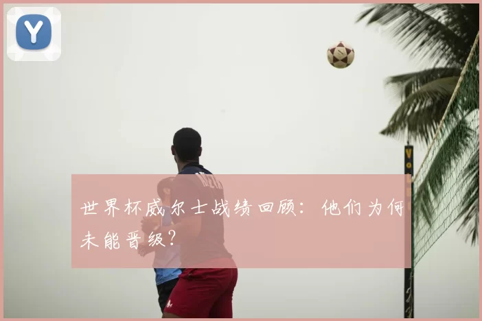 世界杯威尔士战绩回顾：他们为何未能晋级？