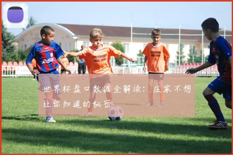 世界杯盘口数据全解读:庄家不想让你知道的秘密