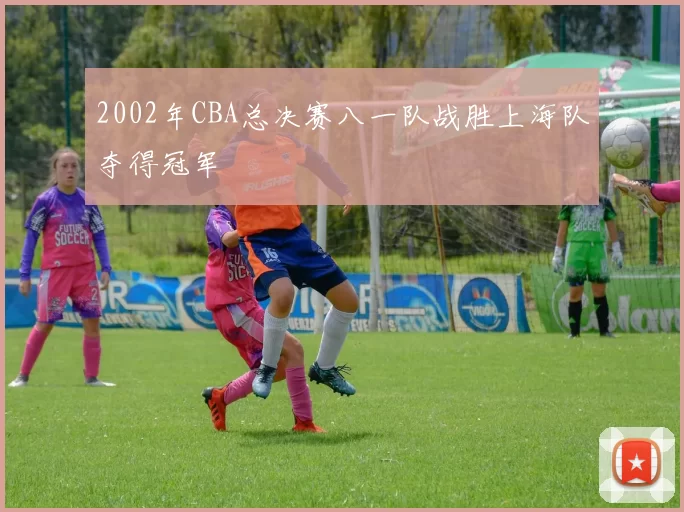 2002年CBA总决赛八一队战胜上海队夺得冠军