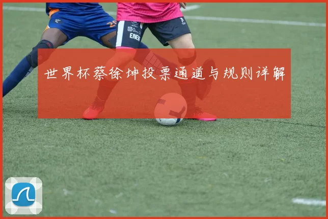 世界杯蔡徐坤投票通道与规则详解