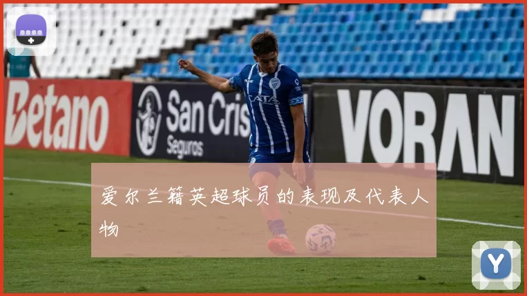 爱尔兰籍英超球员的表现及代表人物