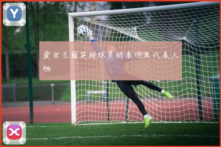 爱尔兰籍英超球员的表现及代表人物