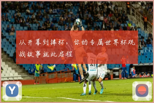 从开幕到捧杯，你的专属世界杯观战故事就此启程