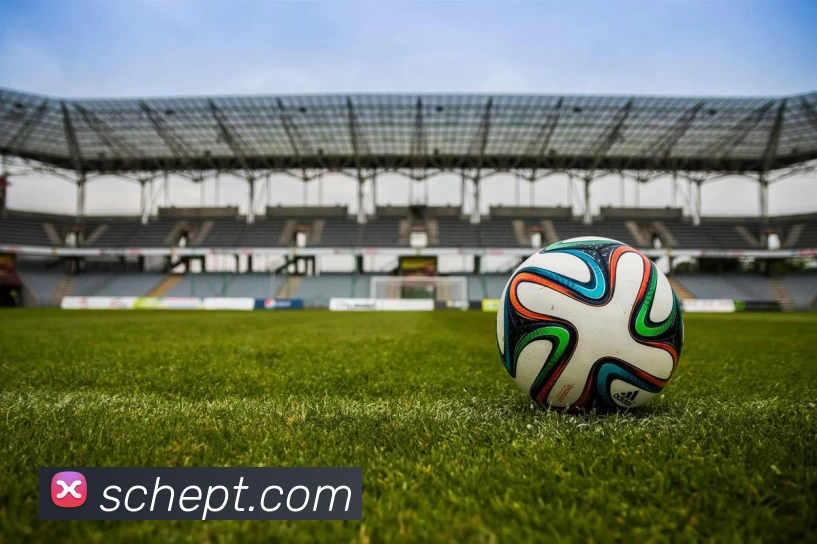 九游体育平台生态图