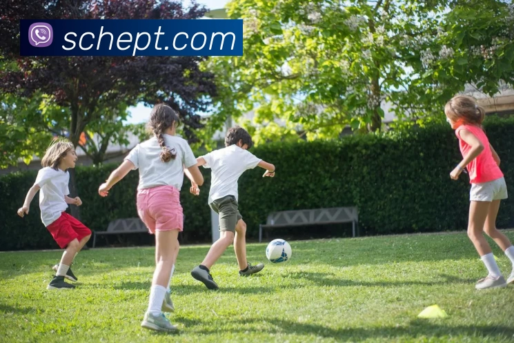 九游体育APP 封面图